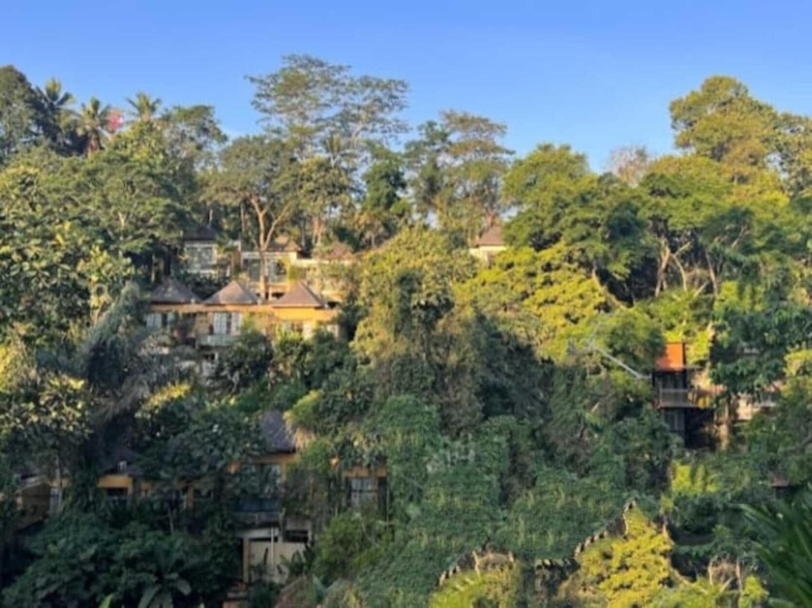 Pondok Kungkang Villa 2 Убуд Екстер'єр фото